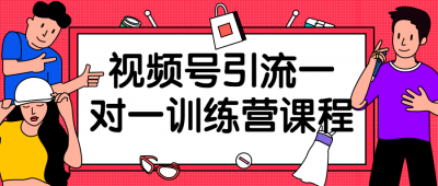 视频号引流一对一训练营课程