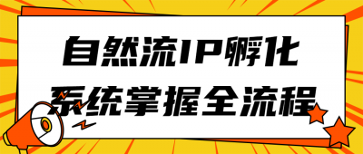 自然流IP孵化系统掌握全流程