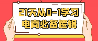 21天从0-1学习电商必备逻辑