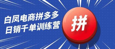 白凤电商拼多多日销千单训练营
