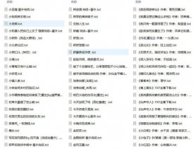 《两性完结小说合集1700+》一次看个够[txt]