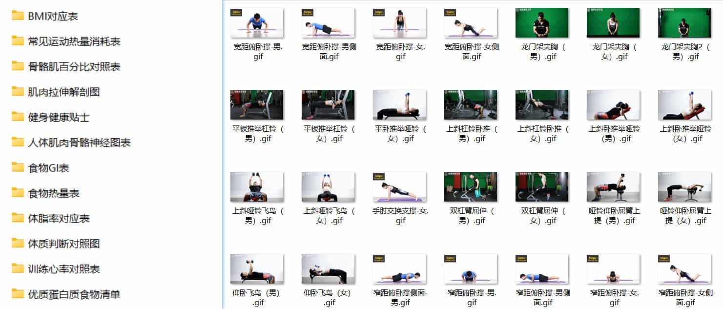 【赛普健身专业视频】价值22800元